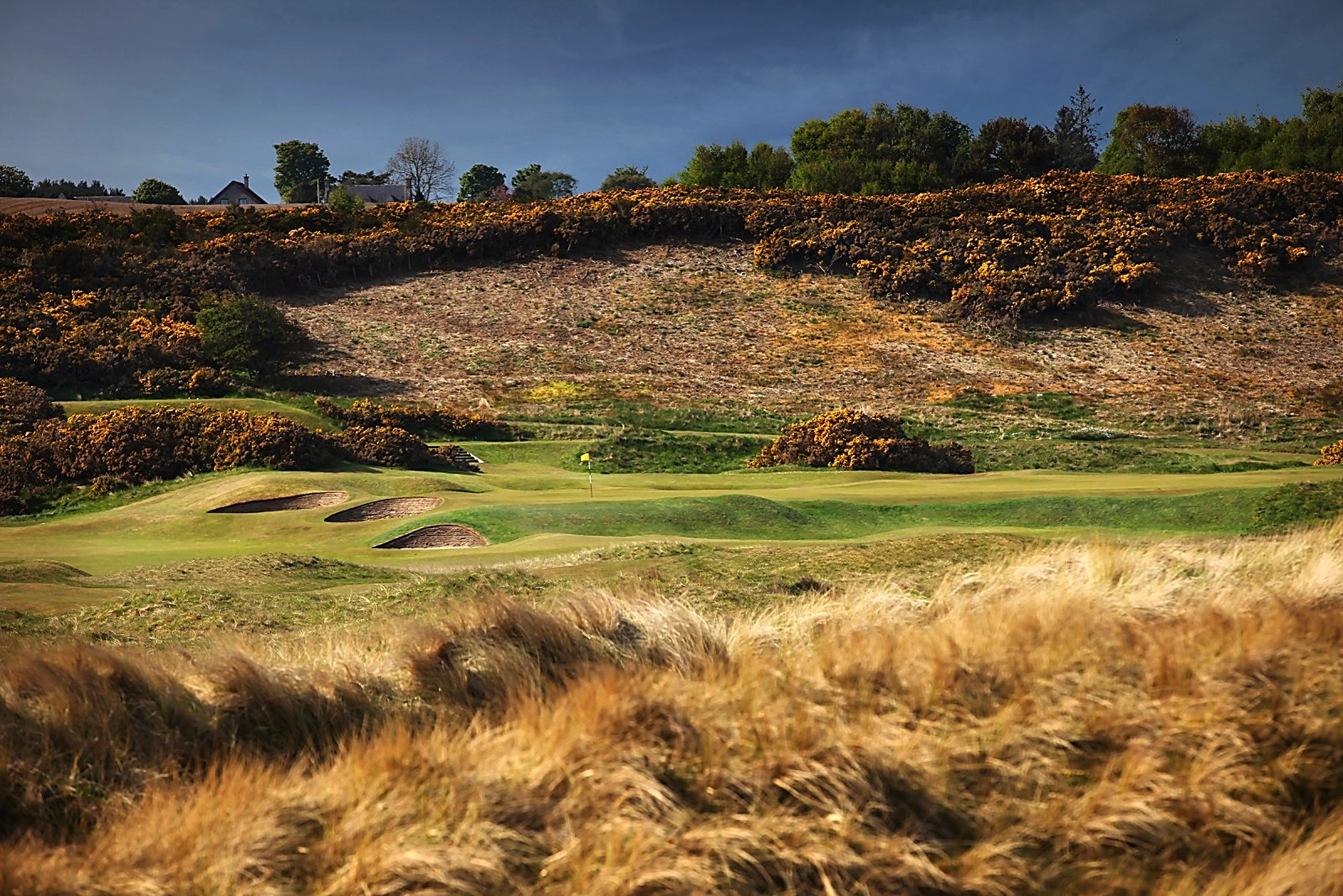 Royal Dornoch 5th green
