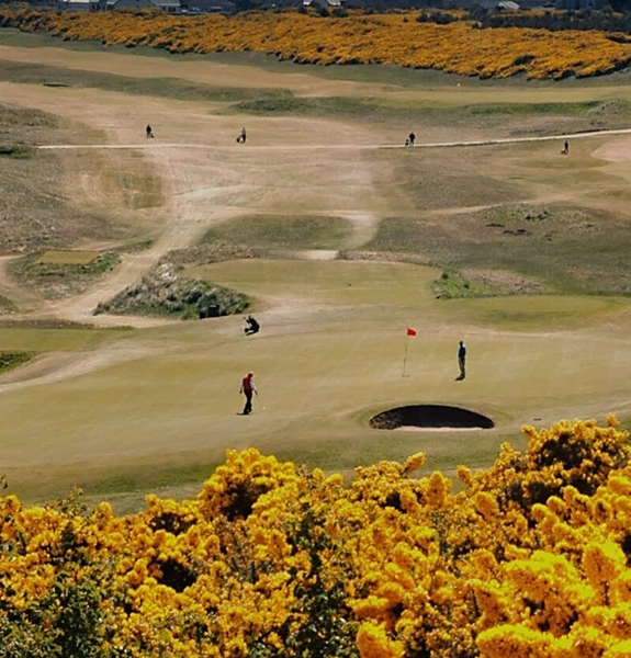 NEWSITE-575×600-dornoch-pano