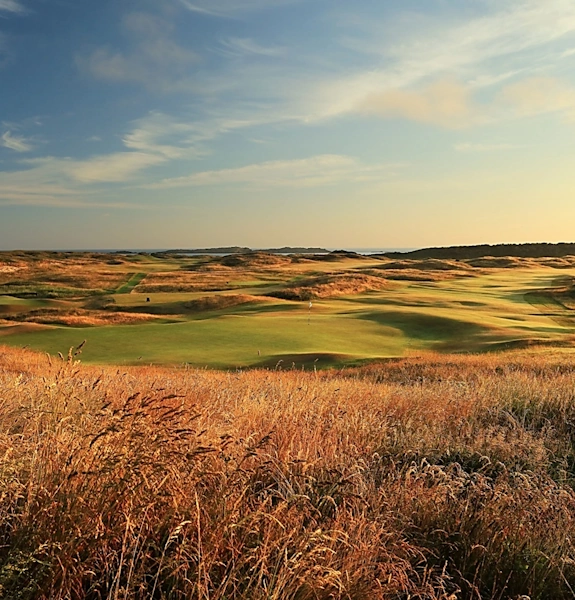 NEWSITE-575×600-portrush-pano