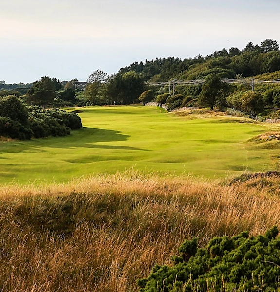 NEWSITE-757×600-TROON-11