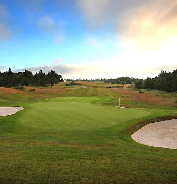 NEWSITE-757×600-geagles-pga16