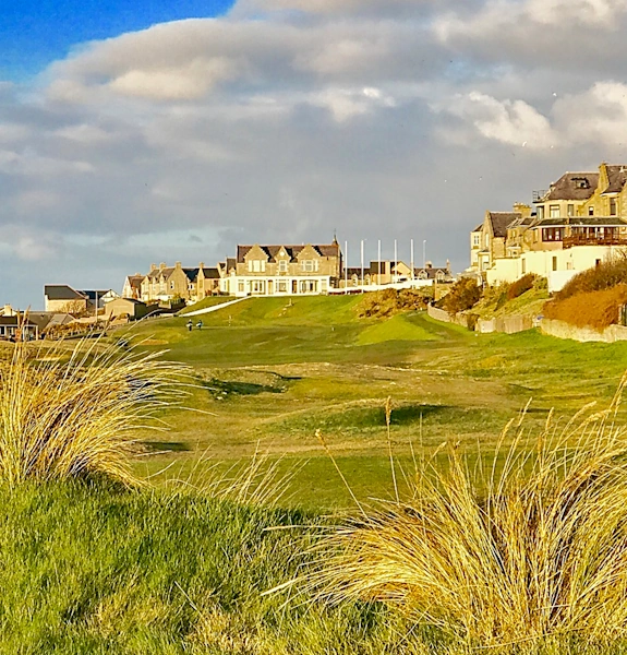 NEWSITE-757×600-moray18