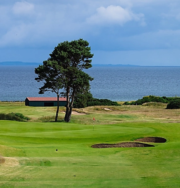 NEWSITE-757×600-nairn14