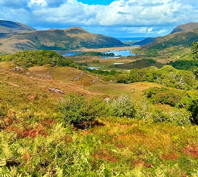 Landscape around Killarney with lake in the distance