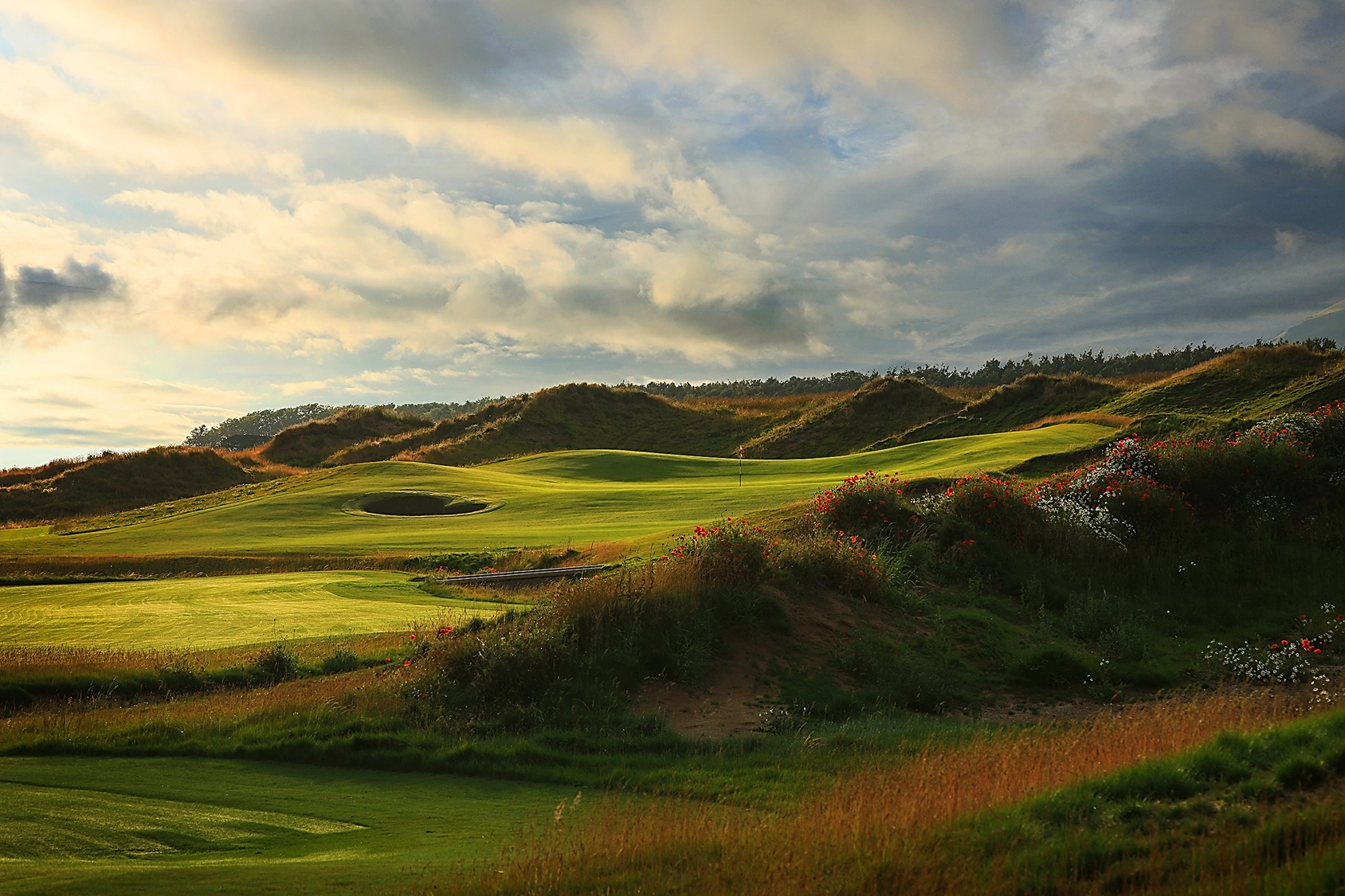Dumbarnie links