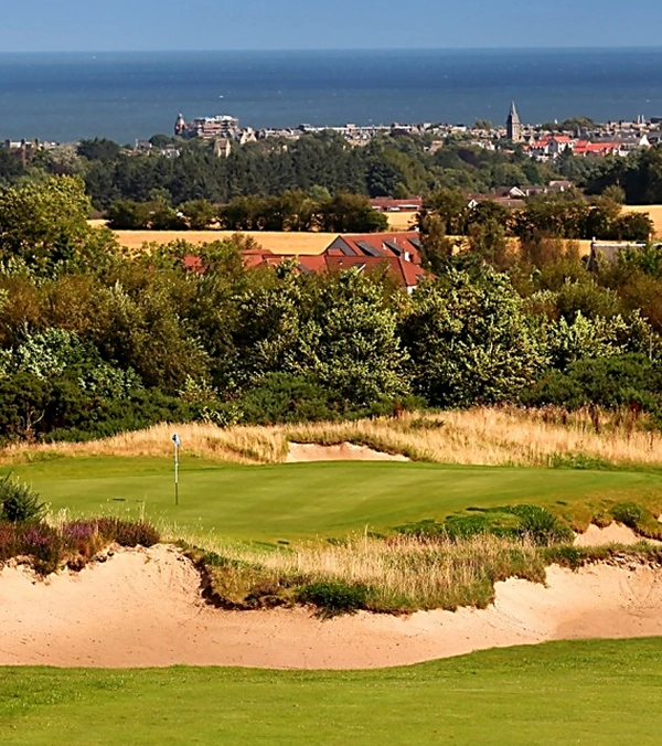 NEWSITE-600X676-craigtoun