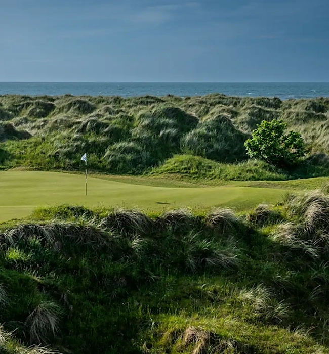 NEWSITE-650c700-ENNISCRONE-16