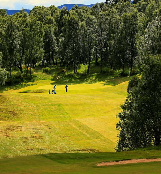 Boat of Garten golf course surrounded by trees